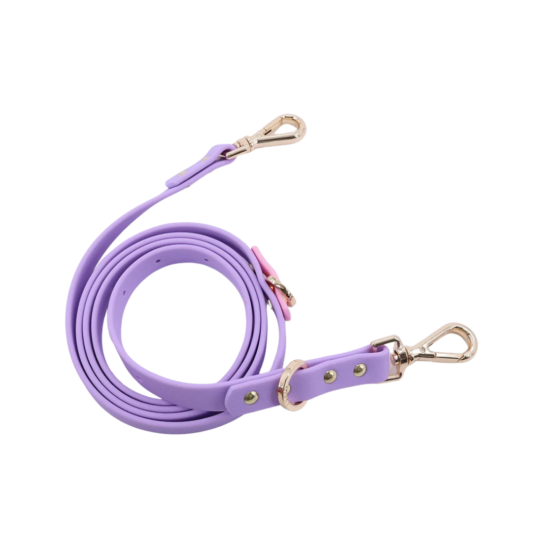 Moddies Classic Leash