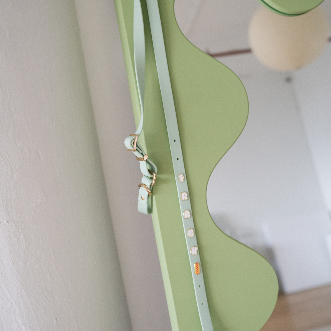Moodie 4-in-1 Leash
