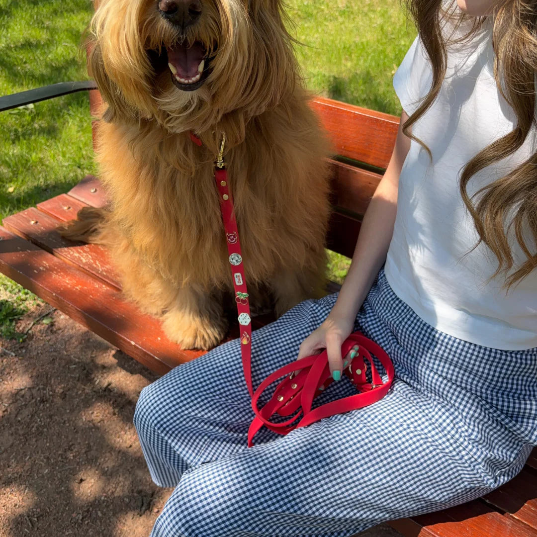 Moodie 4-in-1 Leash