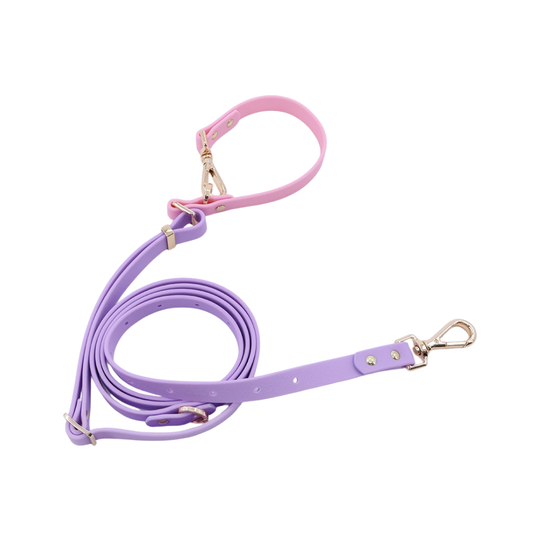 Moodie 4-in-1 Leash