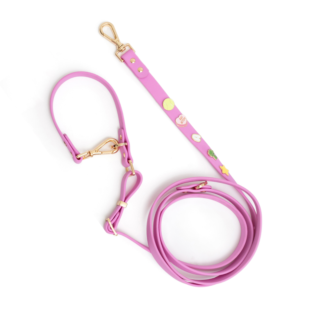 Moodie 4-in-1 Leash
