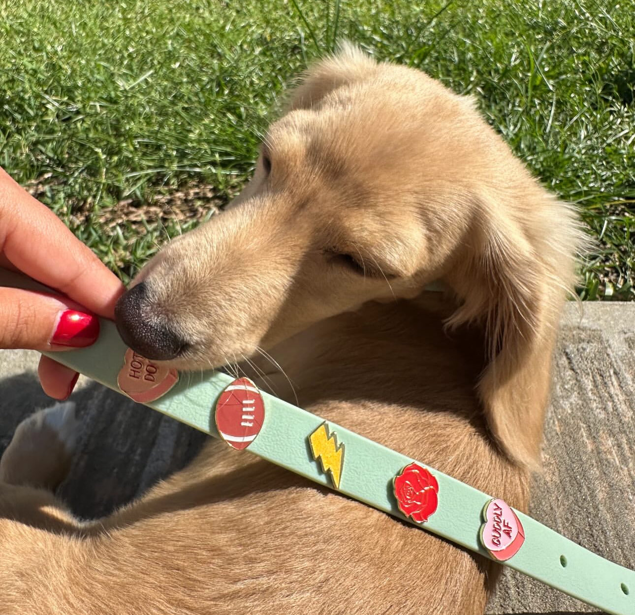 Moddies Classic Leash