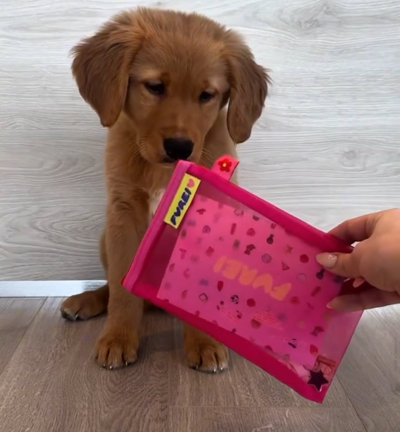 Moodies Collar
