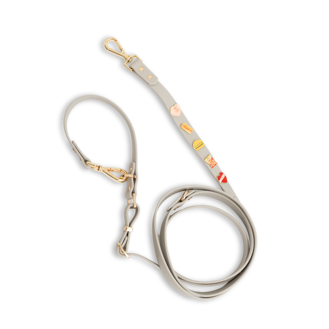 Moodie 4-in-1 Leash