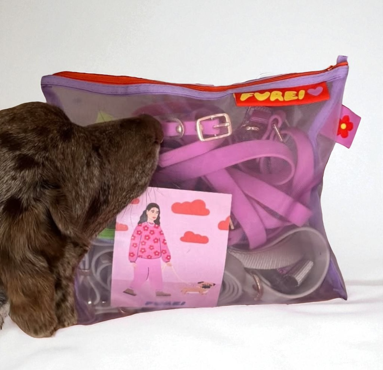 Moodie 4-in-1 Leash
