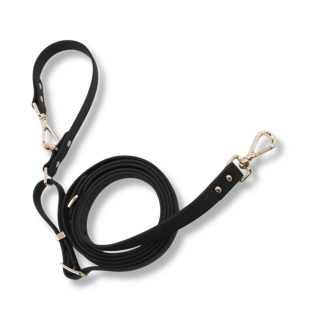 Moodie 4-in-1 Leash