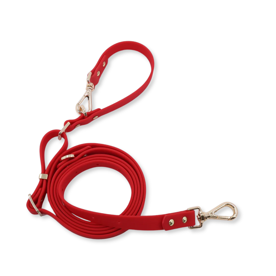 Moodie 4-in-1 Leash