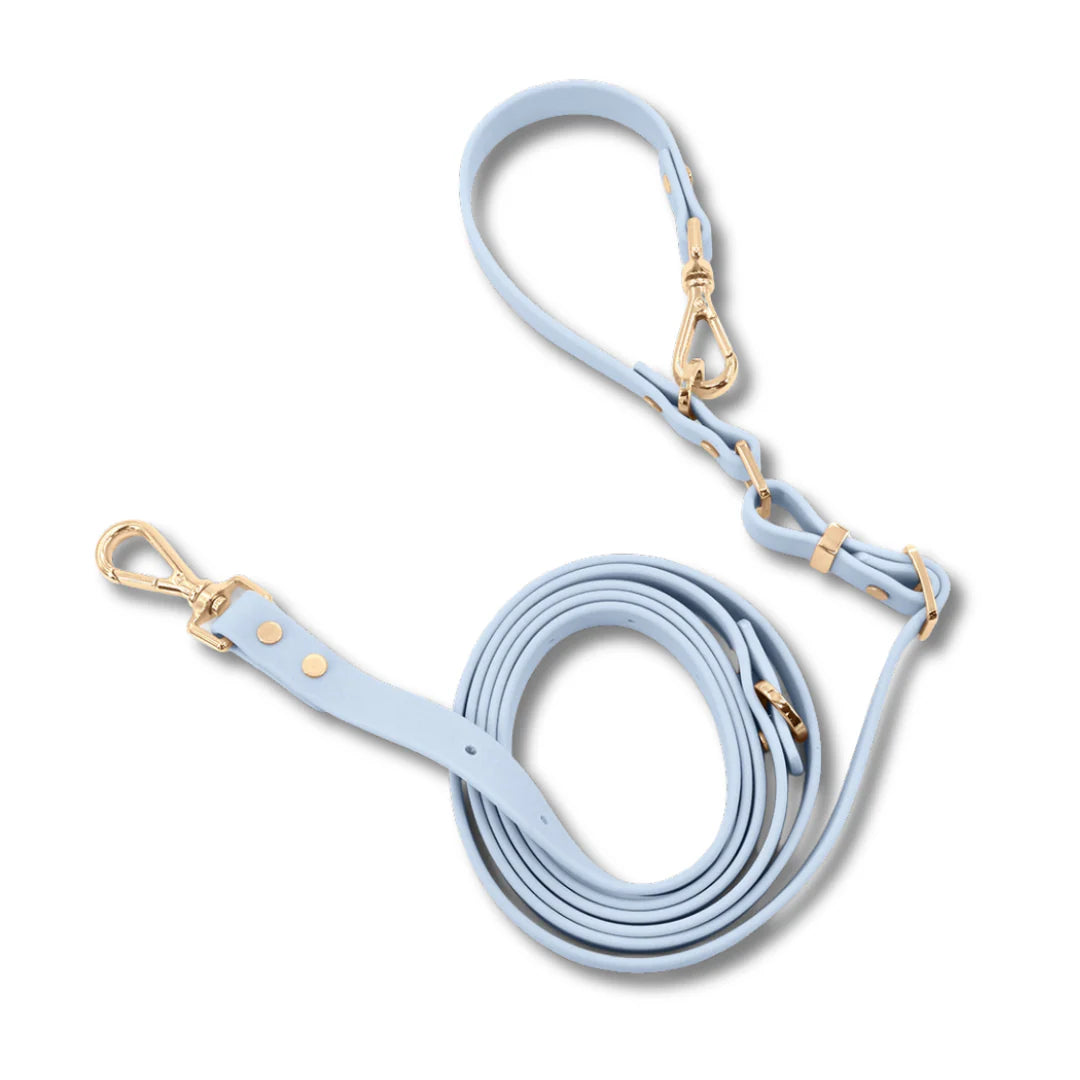 Moodie 4-in-1 Leash
