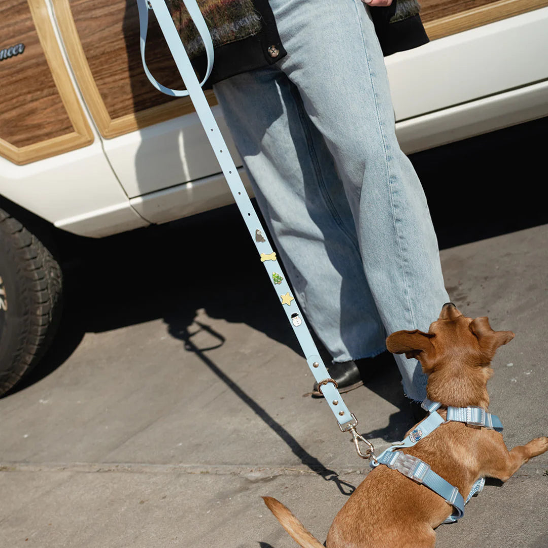 Moodie 4-in-1 Leash