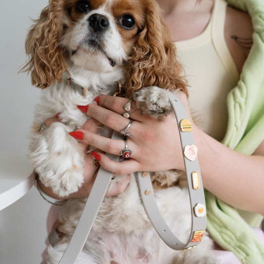 Moddies Classic Leash
