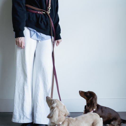 Moodie 4-in-1 Leash