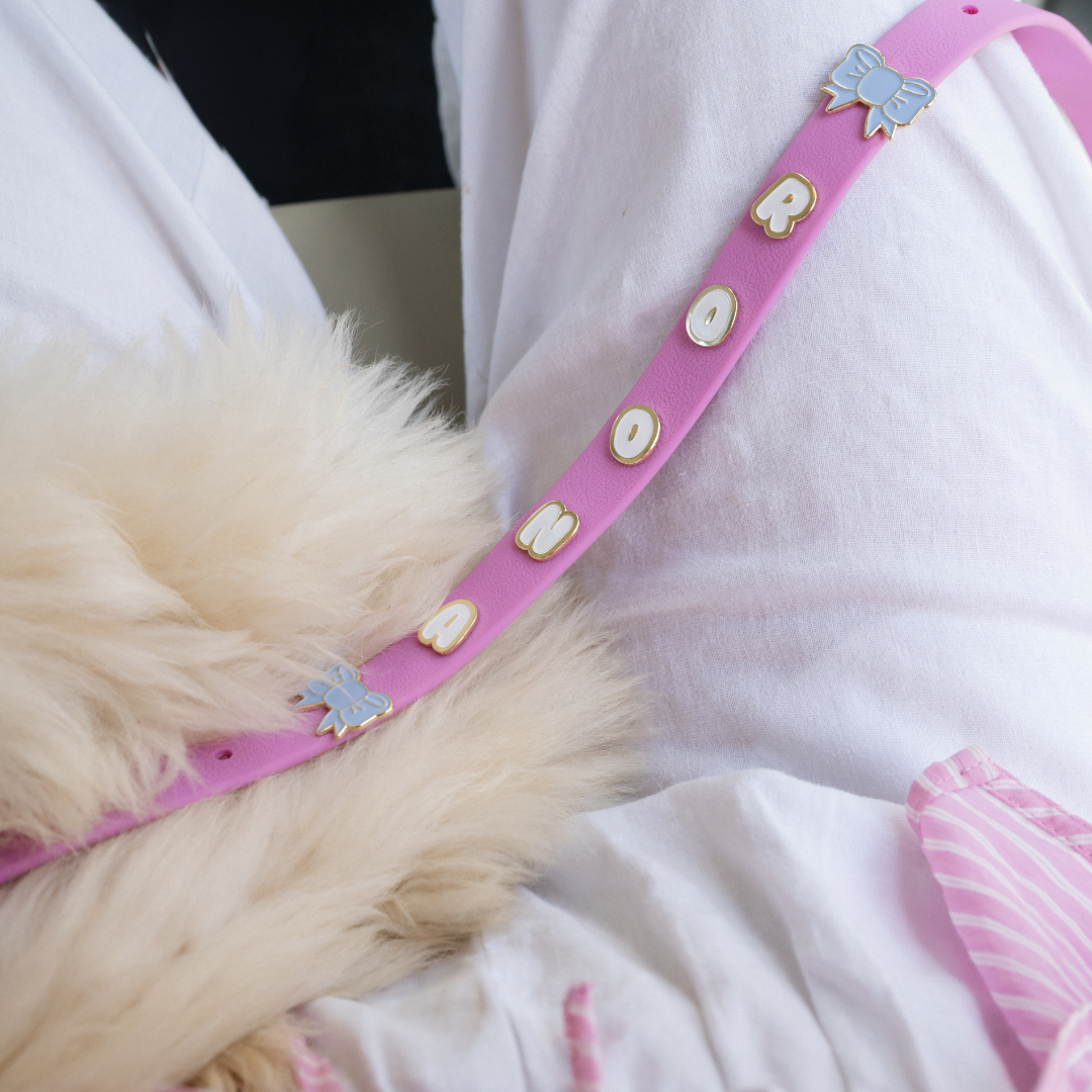 Moddies Classic Leash